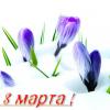С 8 Марта! :: Станислав ..