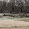 Март, река Кубань :: Игорь Сикорский