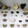 Коллекция камней-сердец :: Татьяна Лютаева