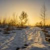 Снежная дорога к солнцу :: Валерий VRN