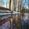 Городские мартовские лужицы. :: Любовь 