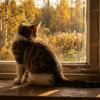 Котенок на подоконнике :: Лилия 