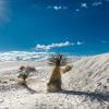 White Sands National Park. New Mexico :: Николай Бабухин