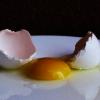 Разбитое яйцо... :: Татьяна Гнездилова