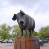 Бронзовая свинья в Тарту. Эстония :: Сергей Сомихин