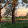 *** :: Александр. AVG100 ---