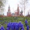 1 мая :: Михаил Бибичков