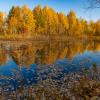 Осень :: Александр Леонтьев