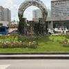 В Новой Москве :: Ирэн 