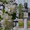 Санаторий им. Горького :: Татьяна Машошина