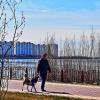 Май...Любимое место прогулок с собакой! :: Владимир 