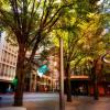 Берлин. Potsdamer Platz :: Tarus 