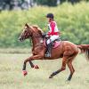 Кросс :: SanSan