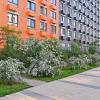 На улице Новой Москвы :: Валерий Иванович