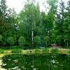 ПЕТЕРГОФ. :: Виктор Осипчук
