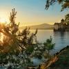 sunset :: Elena Wymann