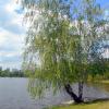 В усадьбе "Михалково" :: Елена 