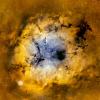 Хобот слона IC 1396 :: Михаил Сипатов