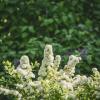 №308 :: Alex Bes