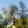 Памятник императору Николаю Первому :: Александр Синдерёв