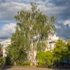 Вечер в Дивеево :: Nyusha .