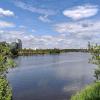 Москва-река :: Валерий Судачок