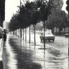 Дождливое лето 1980 года. Кишинёв, у стены Пивзавода. Ул. Искры :: Леонид Школьный