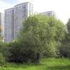 Хорошо жить у городского парка :: Валерий Иванович