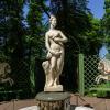 В Летнем саду :: Ирина Соловьёва