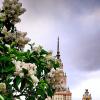 Ботанический сад МГУ (4) :: Георгий А