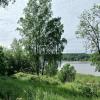 Кировск. Петровский сквер :: Наталья Герасимова
