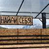 Найди себя в этой жизни :: Илья Шенгелия