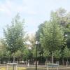Almaty :: Murat Bukaev