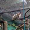 Orientarium ZOO Łódź :: Светлана Ищенко