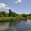 У реки. :: Виктор