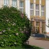 Цветёт сирень :: Студия фотографии
