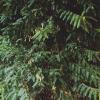 14 КЛОС (441) :: CLOSE WAYS ALL