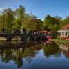 Keukenhof... :: Dmitriy Dikikh