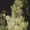 14 КЛОС (444) :: CLOSE WAYS ALL