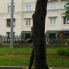 Как не надо фотографировать :: Лютый Дровосек
