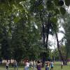*** :: Валентина Береснева