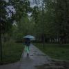 Непогода :: юрий поляков