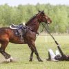 Конкур :: SanSan 