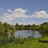 **** :: Виктор 