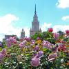 Ботсад МГУ 28 июня :: Михаил Бибичков