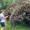 Репино. Центральный парк :: Наталья Герасимова