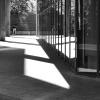 *** :: Любимова Ольга 