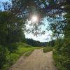 Как я провожал июнь :: Андрей Лукьянов