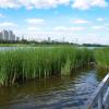 Москва-река :: Олег
