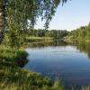 *** :: Владимир Безбородов
